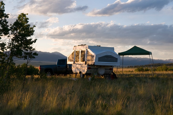 protecting a popup camper from critters