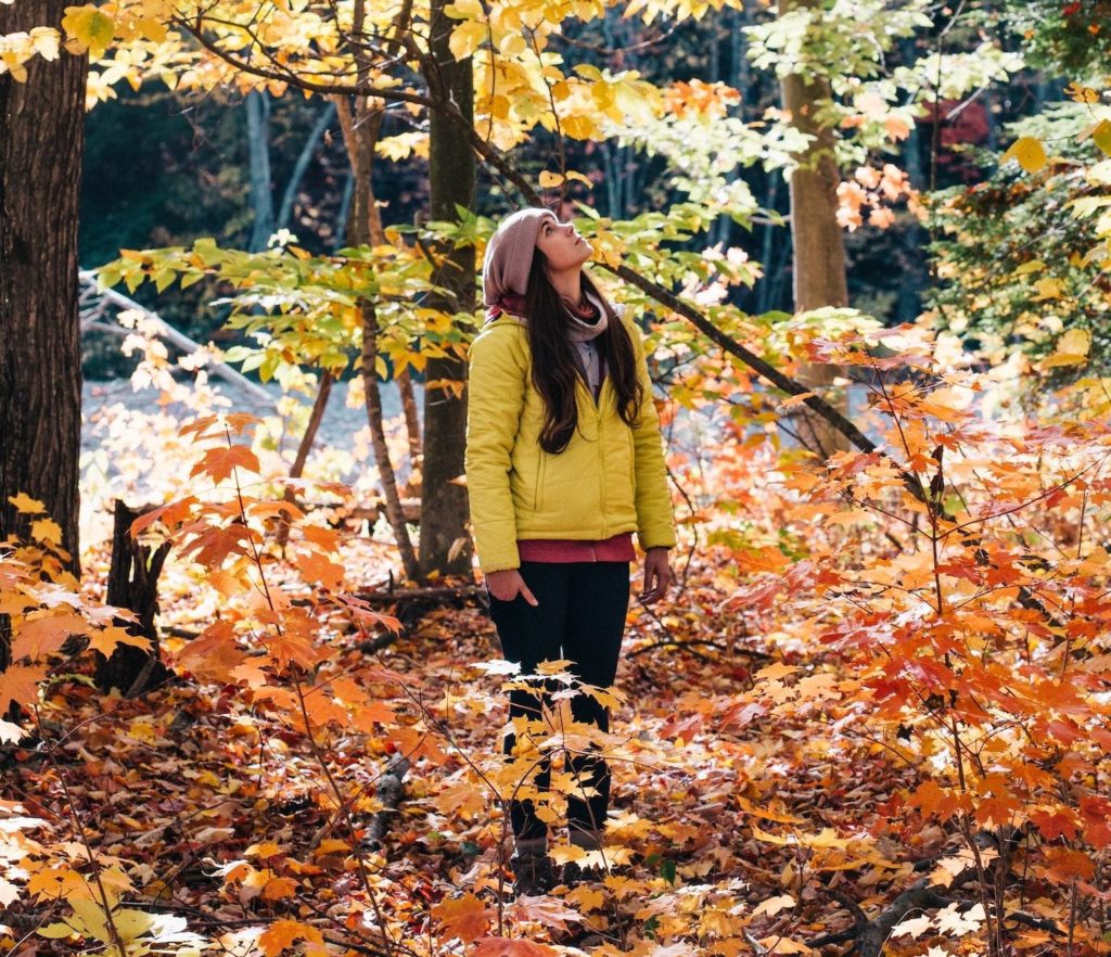 fall colors camping picture perfectfall colors camping picture perfect
