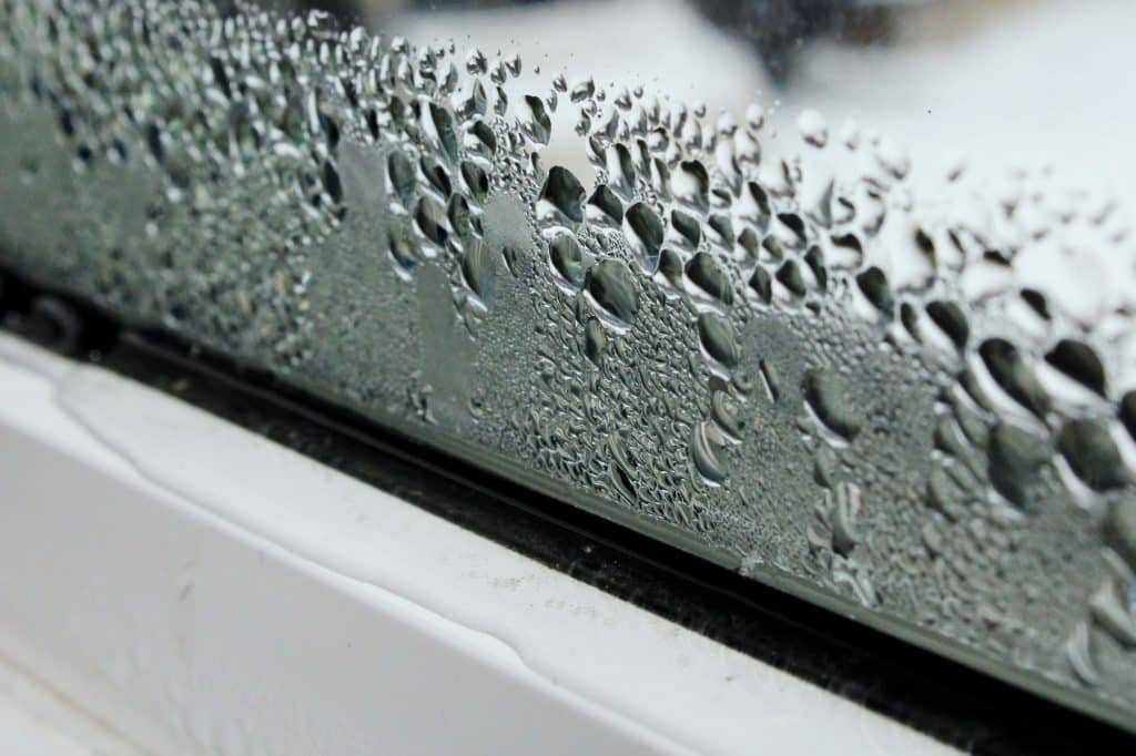 Water pooling on window still.