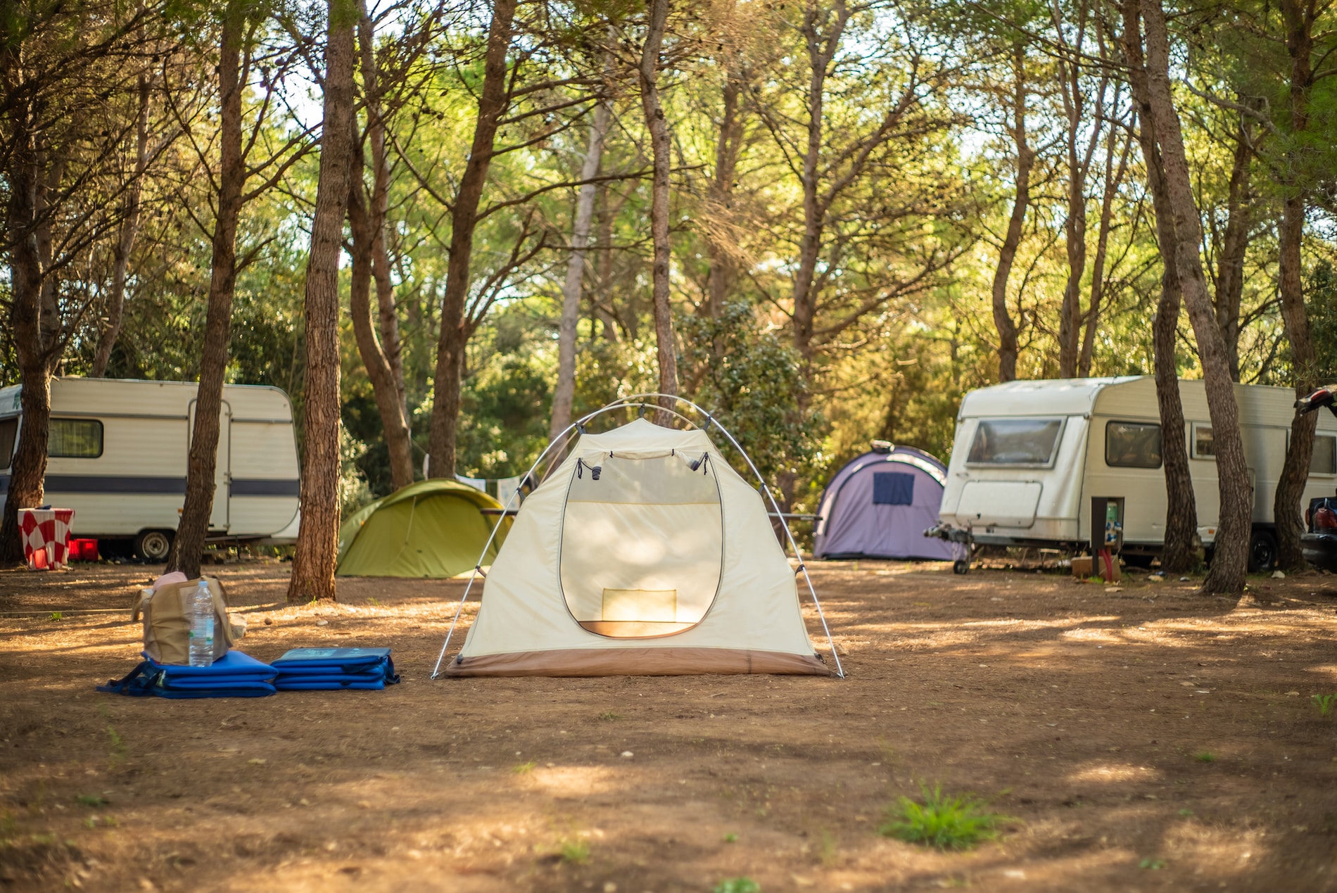 View of tent in camp ground in the middle of pine forest.