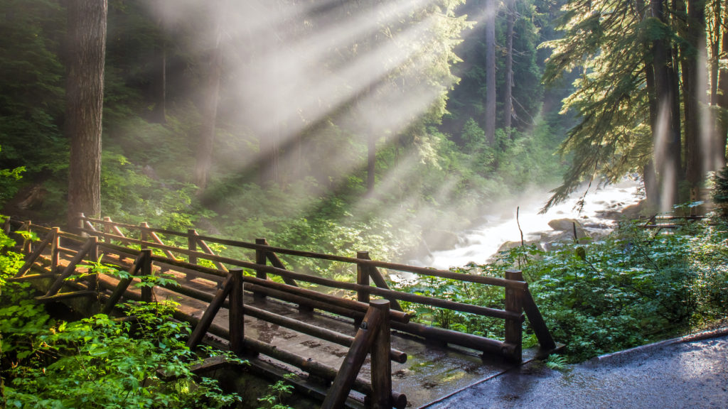 Sunlight through the steam at Sol Duc natural hot springs in Olympic National Park, Washington