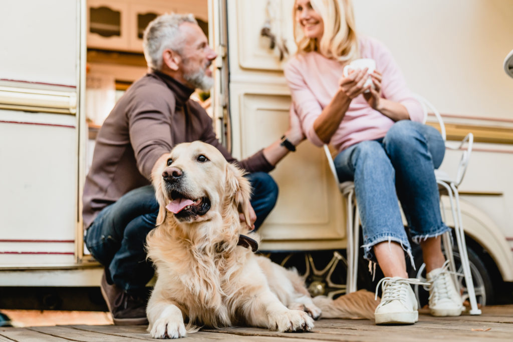 Golden Retriever with RV